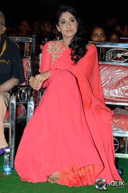 Pilla-Nuvvu-Leni-Jeevitham-Movie-Audio-Success-Meet